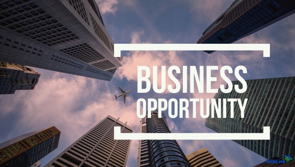 Business Opportunity in the World